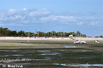 plage de la pointe du Grouin