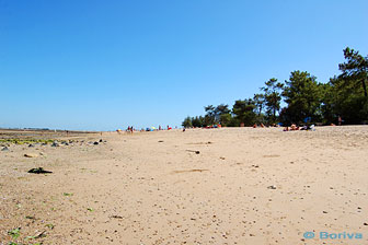 plage de Trousse Chemise