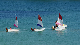 optimists en école de voile